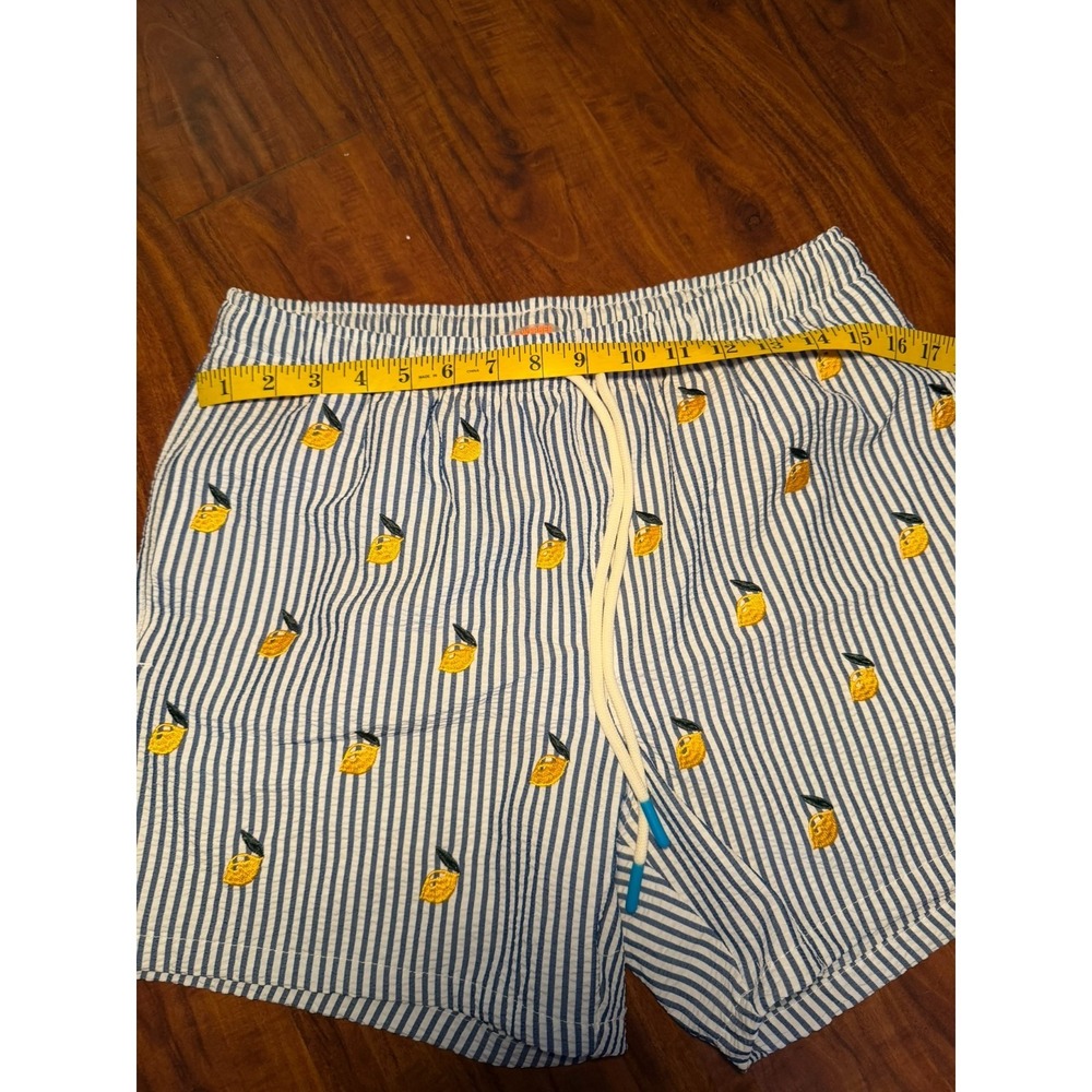 Warren Webber Beachwear Swim Trunks Men's M Lemon Embroidered Striped Shorts - Picture 3 of 7